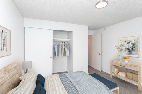 a bedroom with a bed and a closet with clothes in it